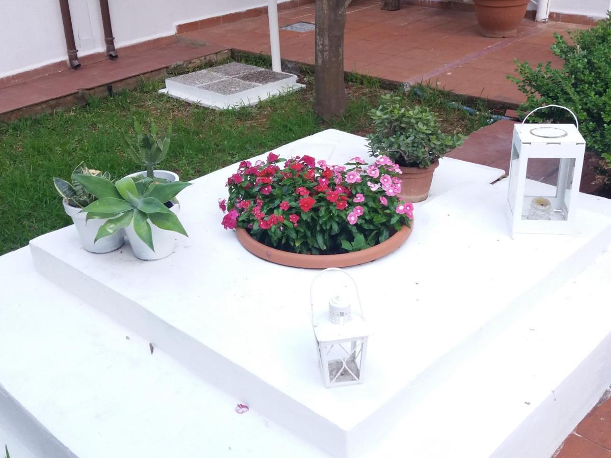 Casa Agrumeto - Locazione Turistica Mondello Buitenkant foto