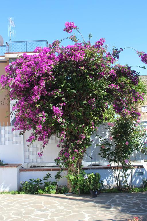 Casa Agrumeto - Locazione Turistica Mondello Kamer foto