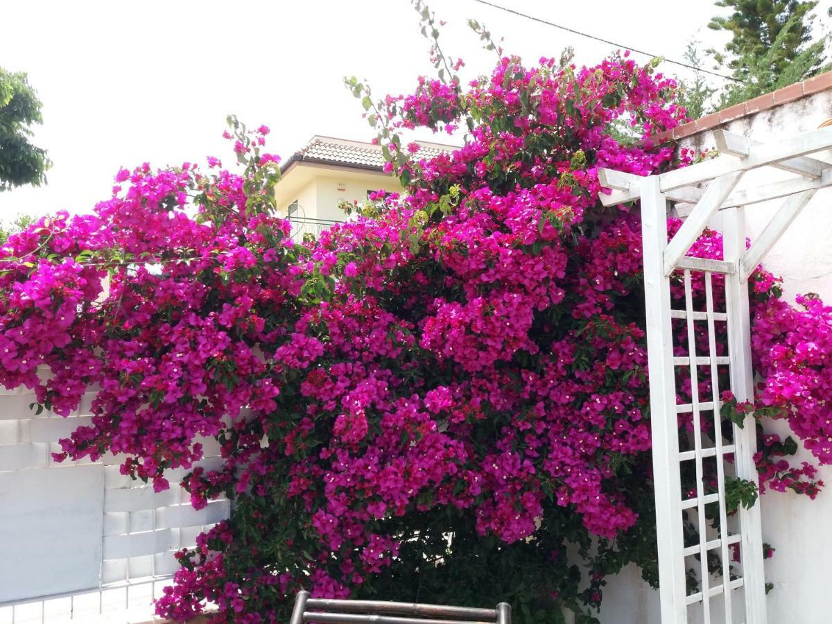 Casa Agrumeto - Locazione Turistica Mondello Buitenkant foto
